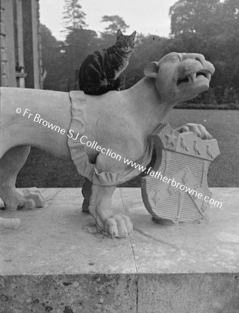 CAT ON CARVED LION AT EMO COURT